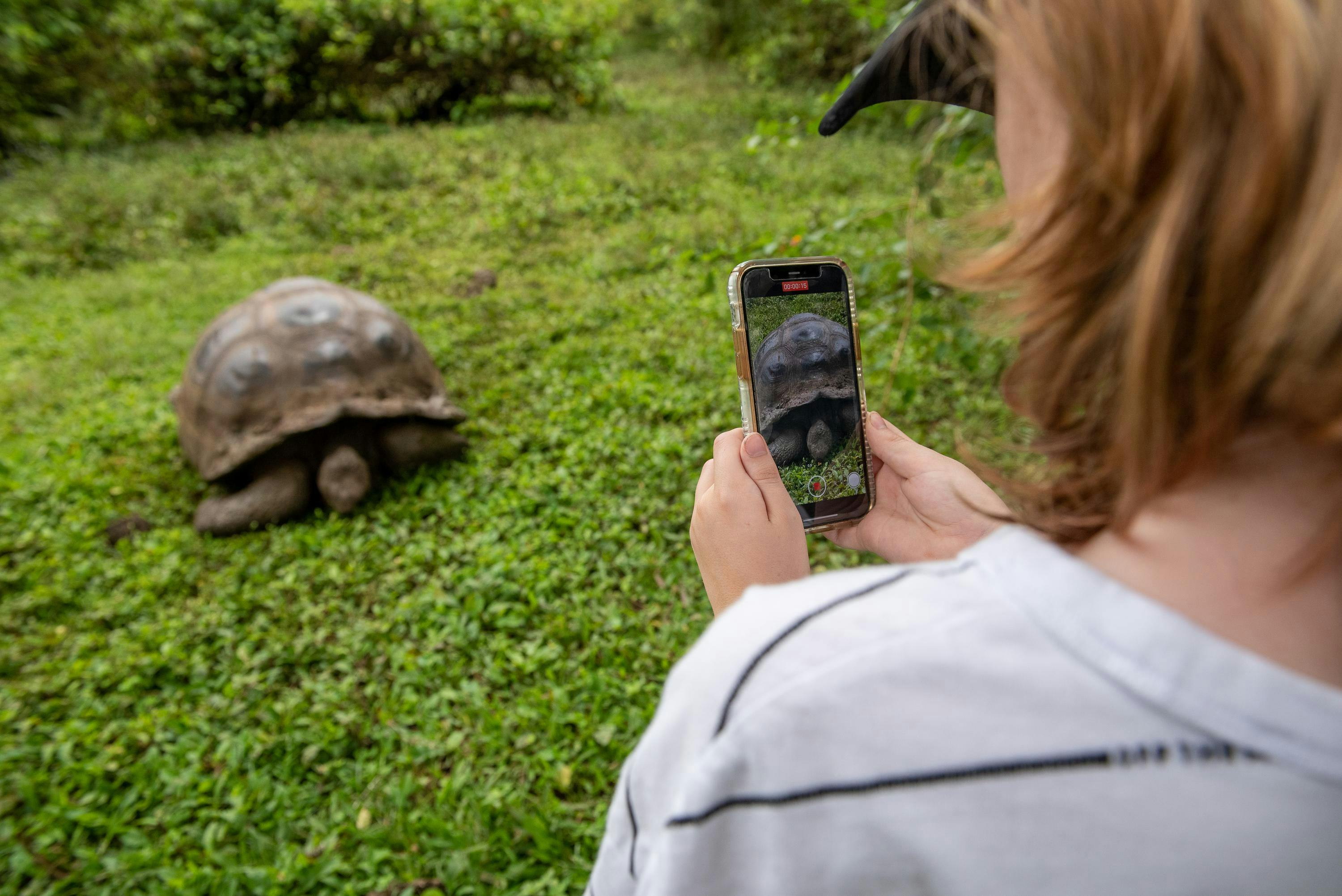 A young guest takes a photo of a tortoise with his cell phone.