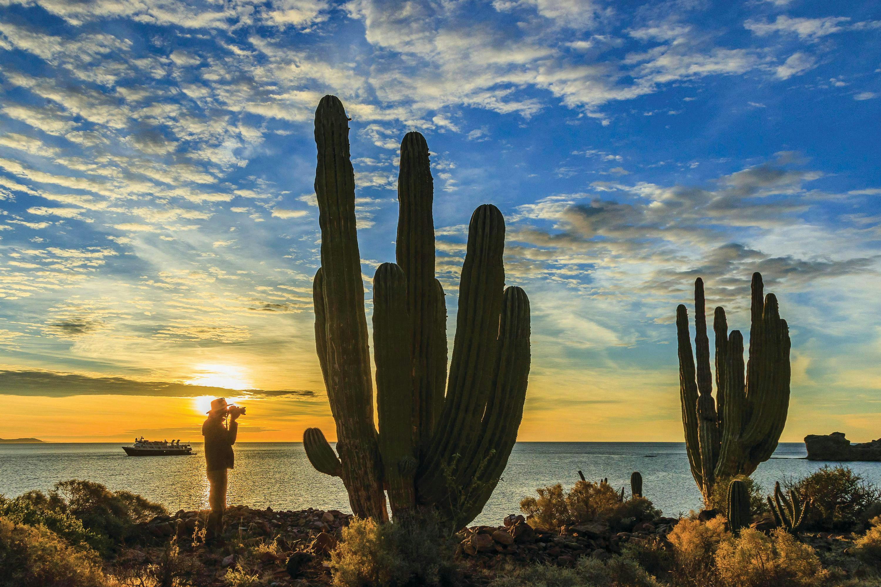 A guest photographs in sunrise light on San Esteban Island, with the ship National Geographic Sea Lion anchored in the Gulf of California, Mexico